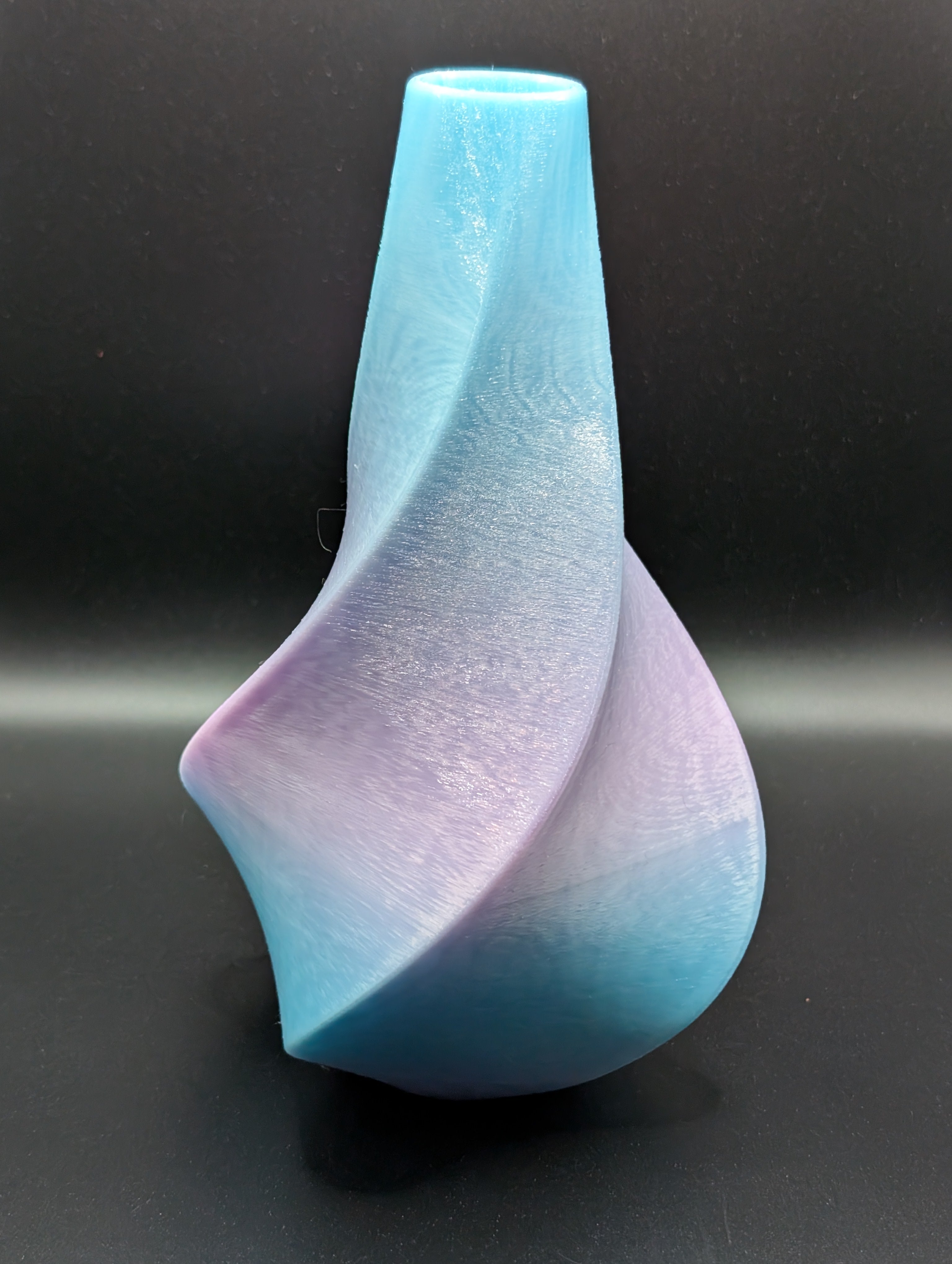 Twisted Blue &amp; Purple 3D Printed Vase