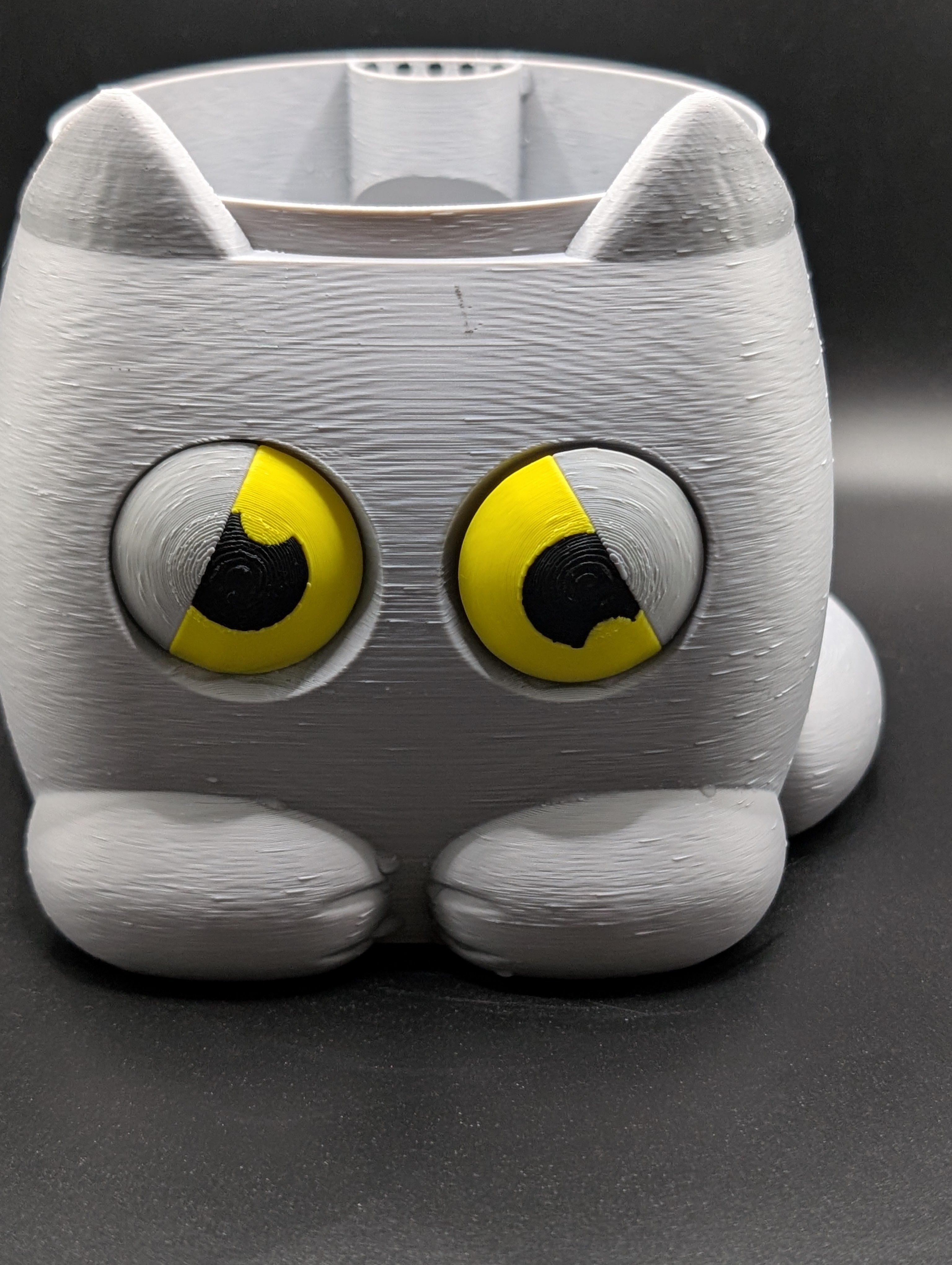 Grumpy Kitty Self-Watering Planter